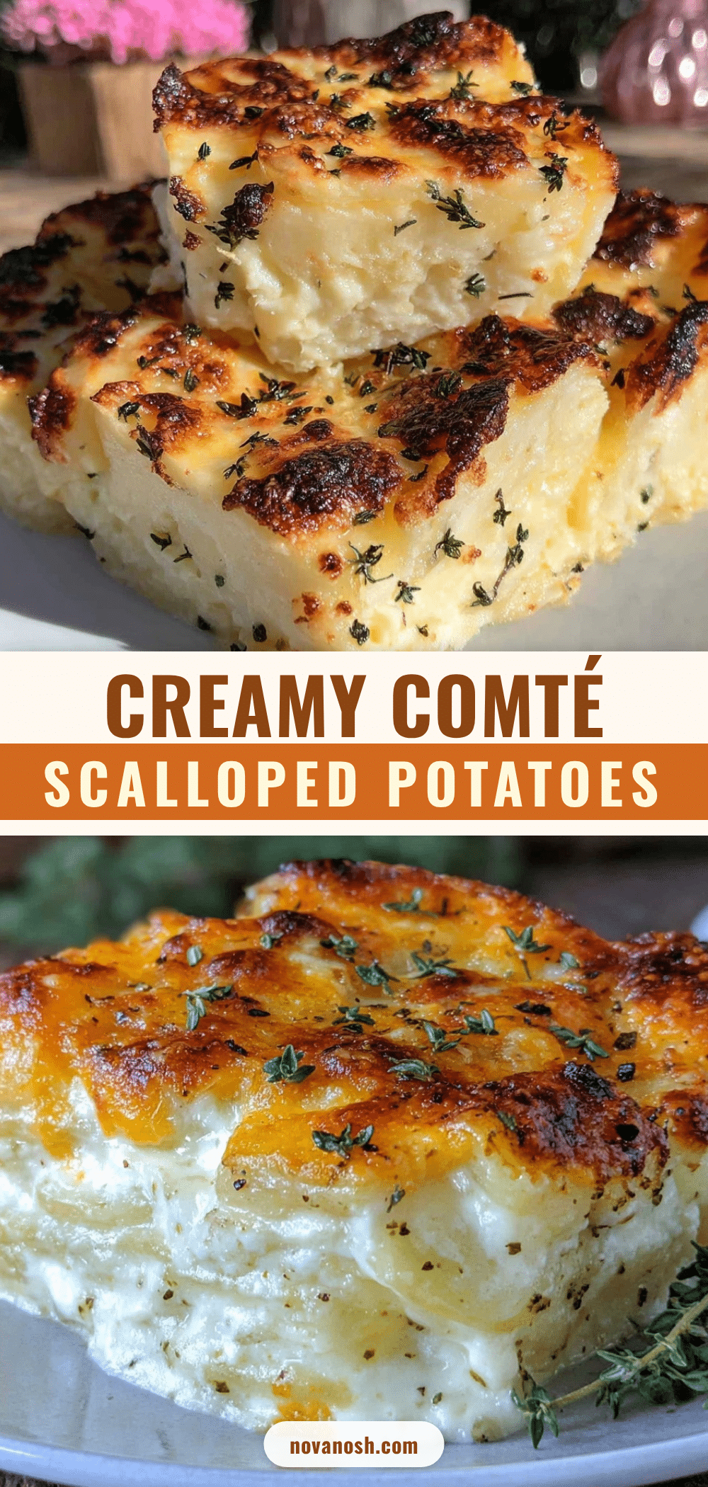 bistro-style scalloped potato gratin recipe