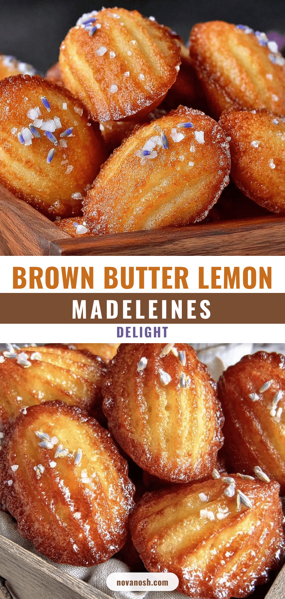 brown butter lemon madeleines recipe