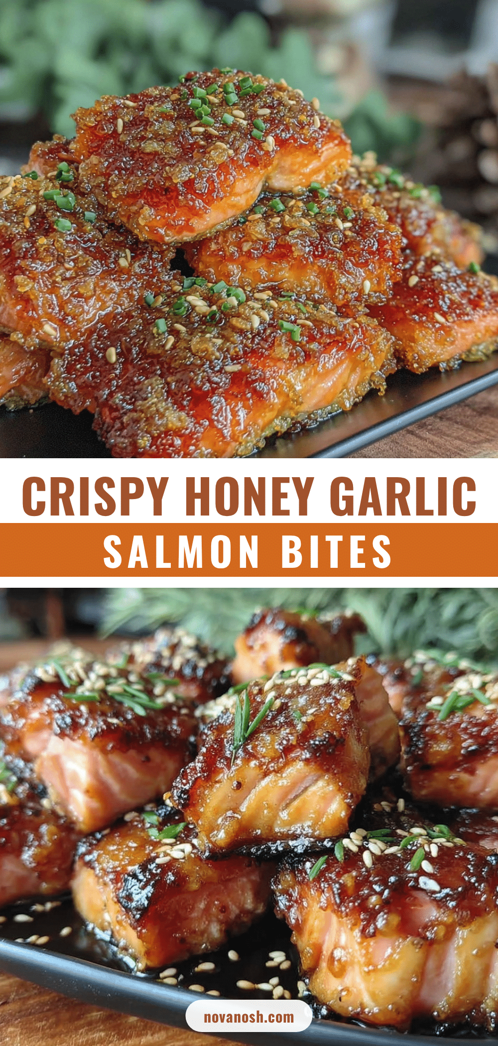 crispy honey garlic salmon bites recipe