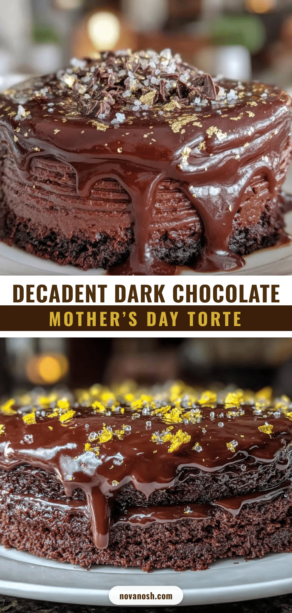 dark chocolate mousse torte with ganache mirror recipe