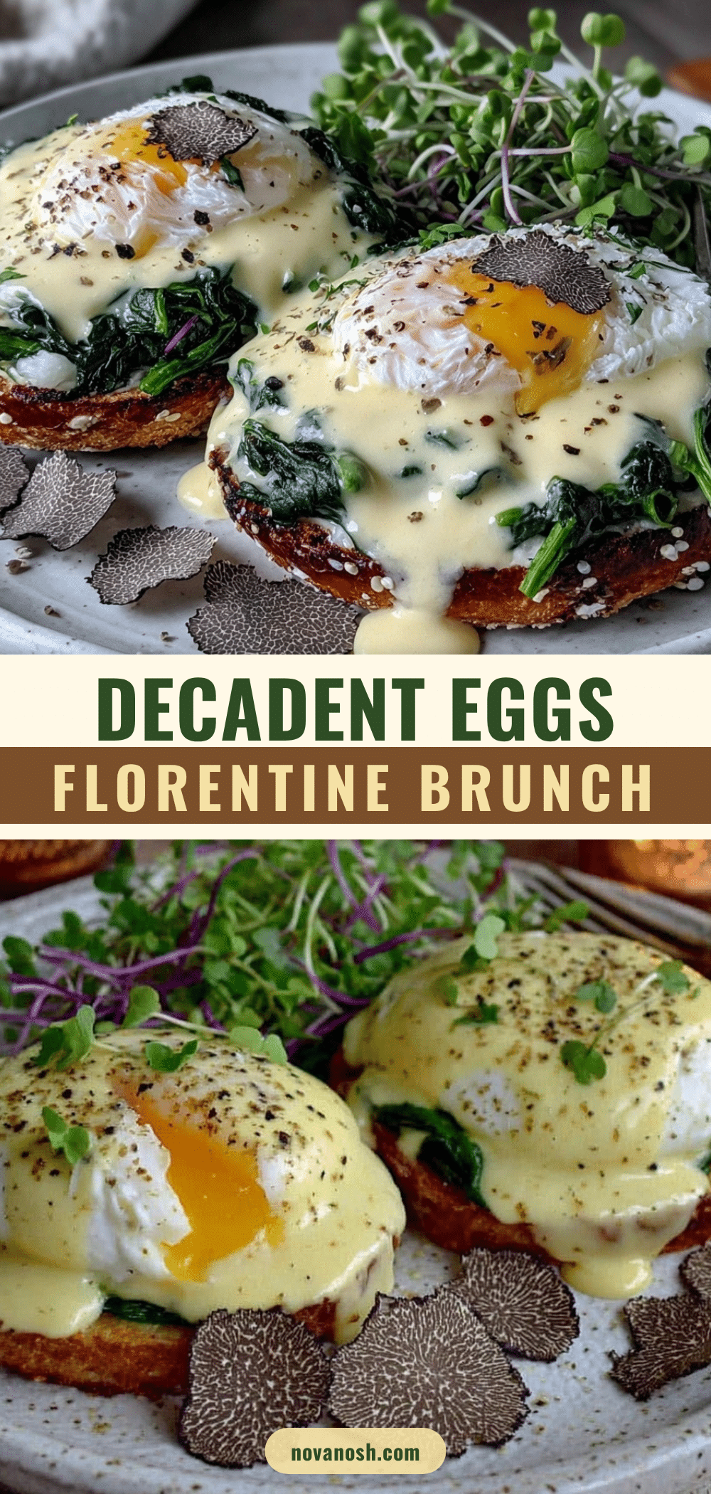 eggs florentine with truffle hollandaise recipe