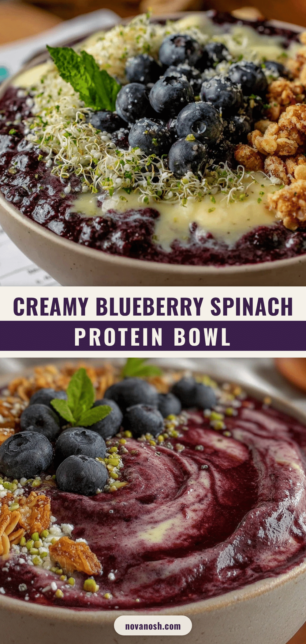 fresh blueberry spinach protein smoothie bowl recipe