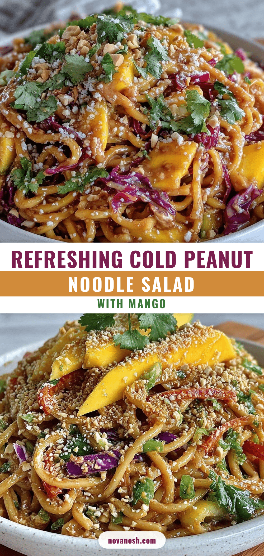 fresh cold peanut noodle salad recipe