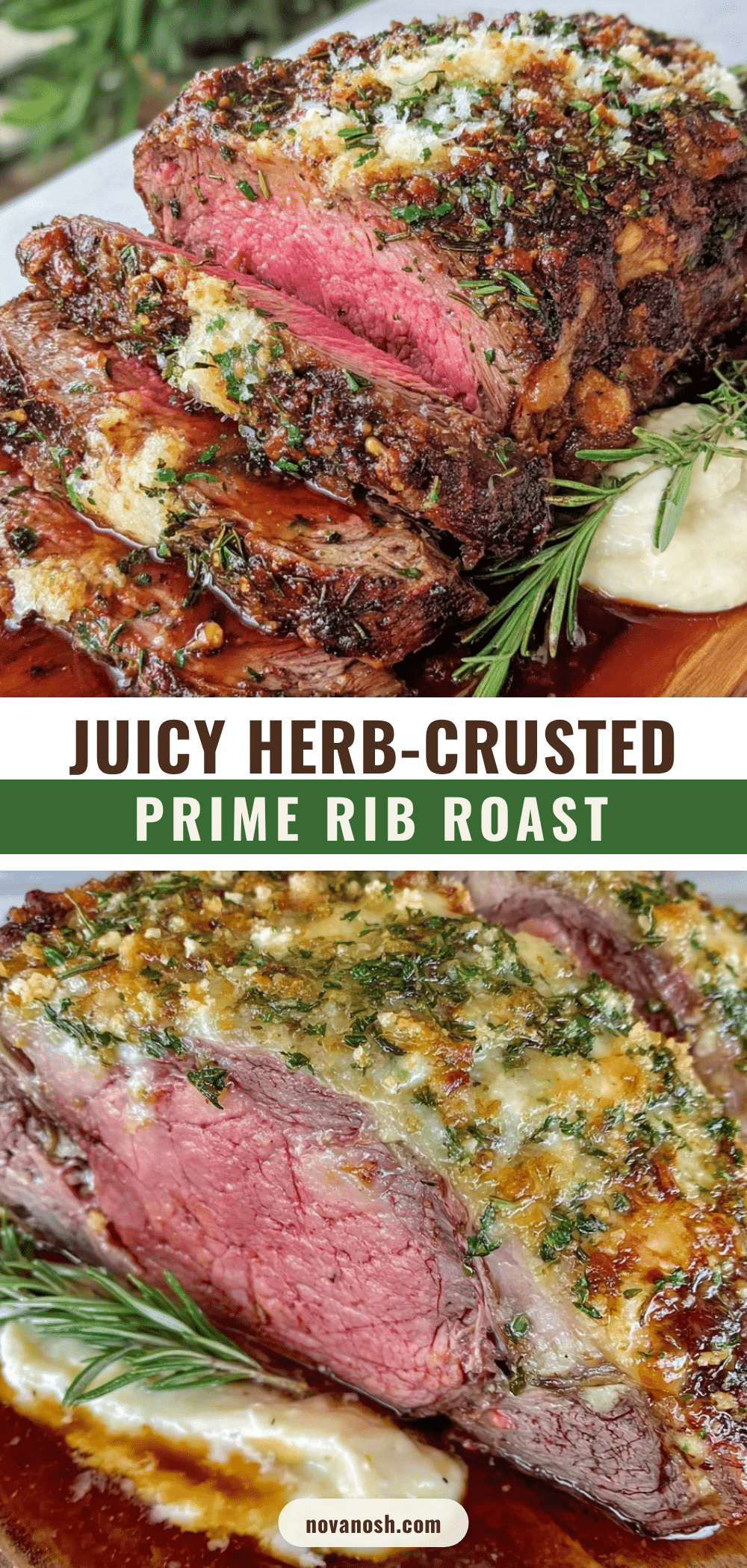herb-crusted prime rib roast recipe