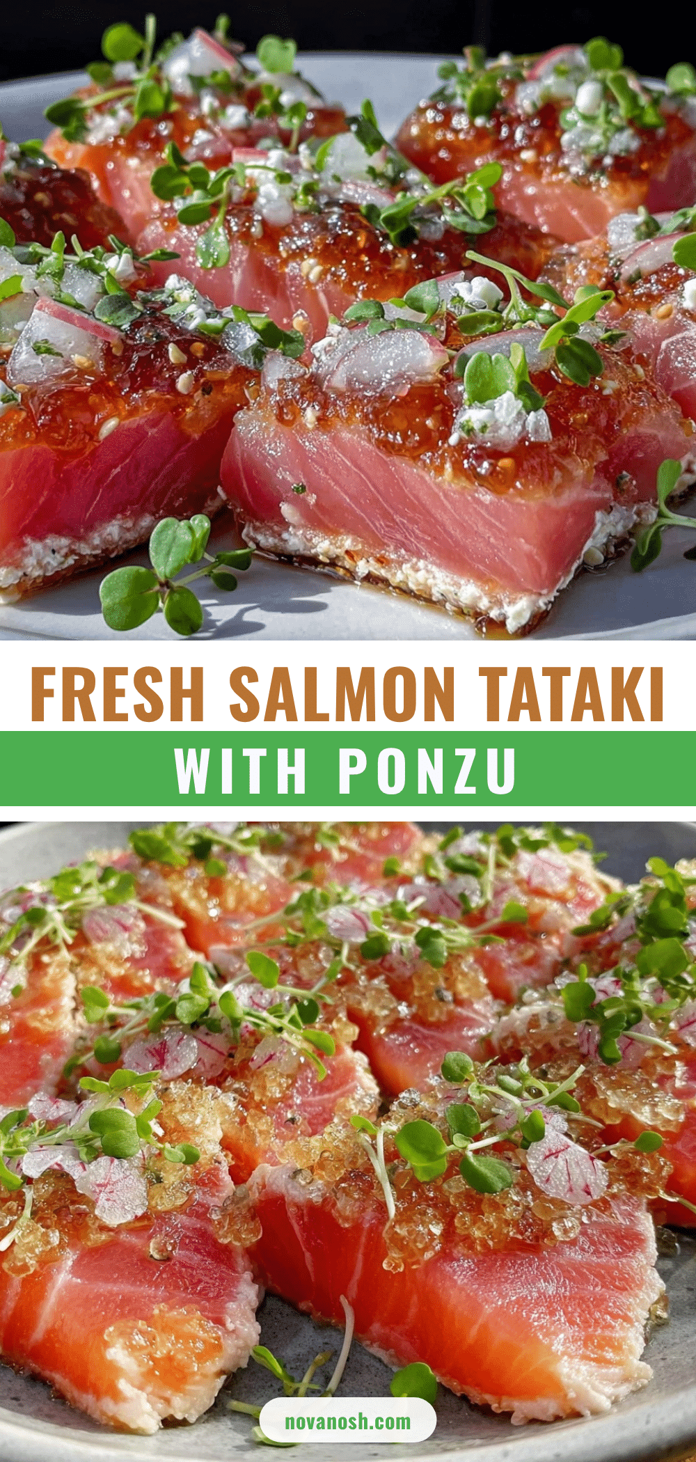 omakase salmon tataki recipe