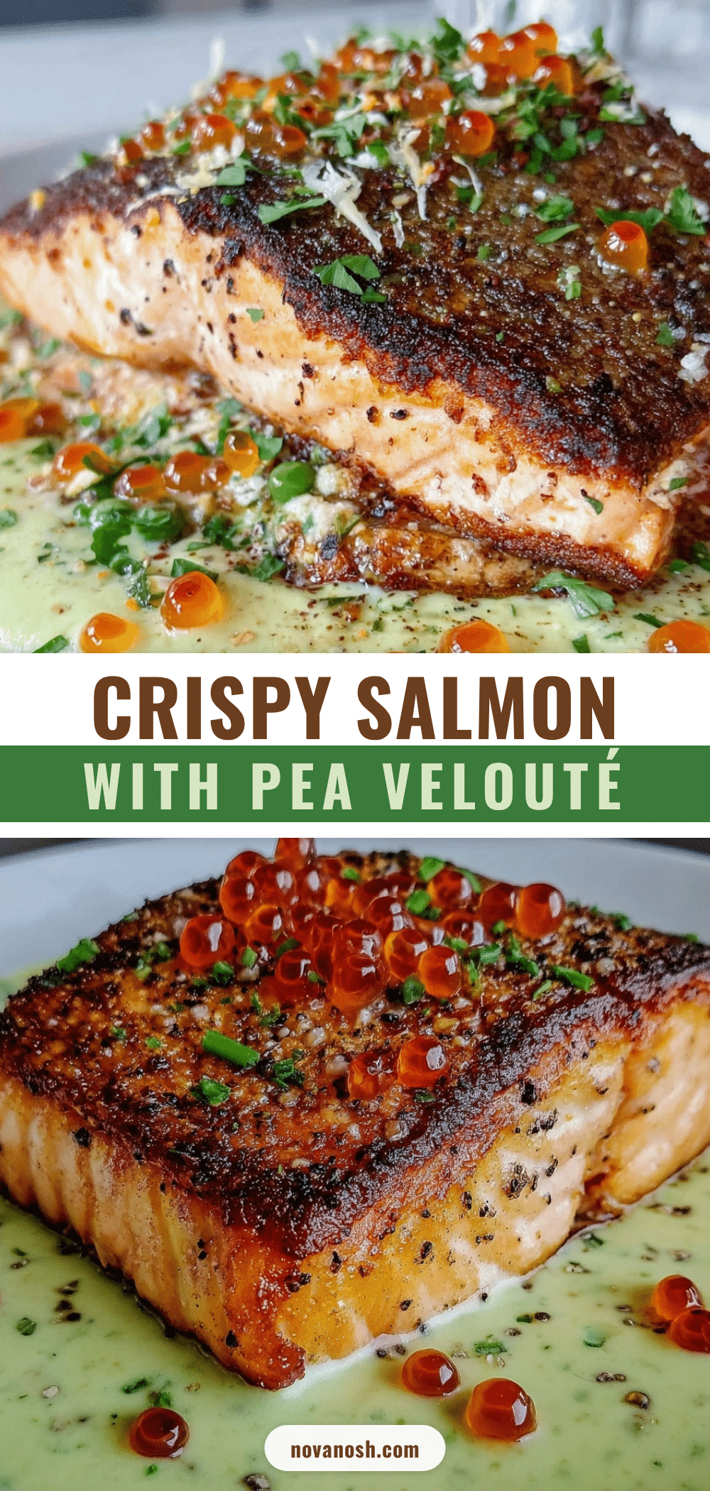 salmon with pea velouté recipe