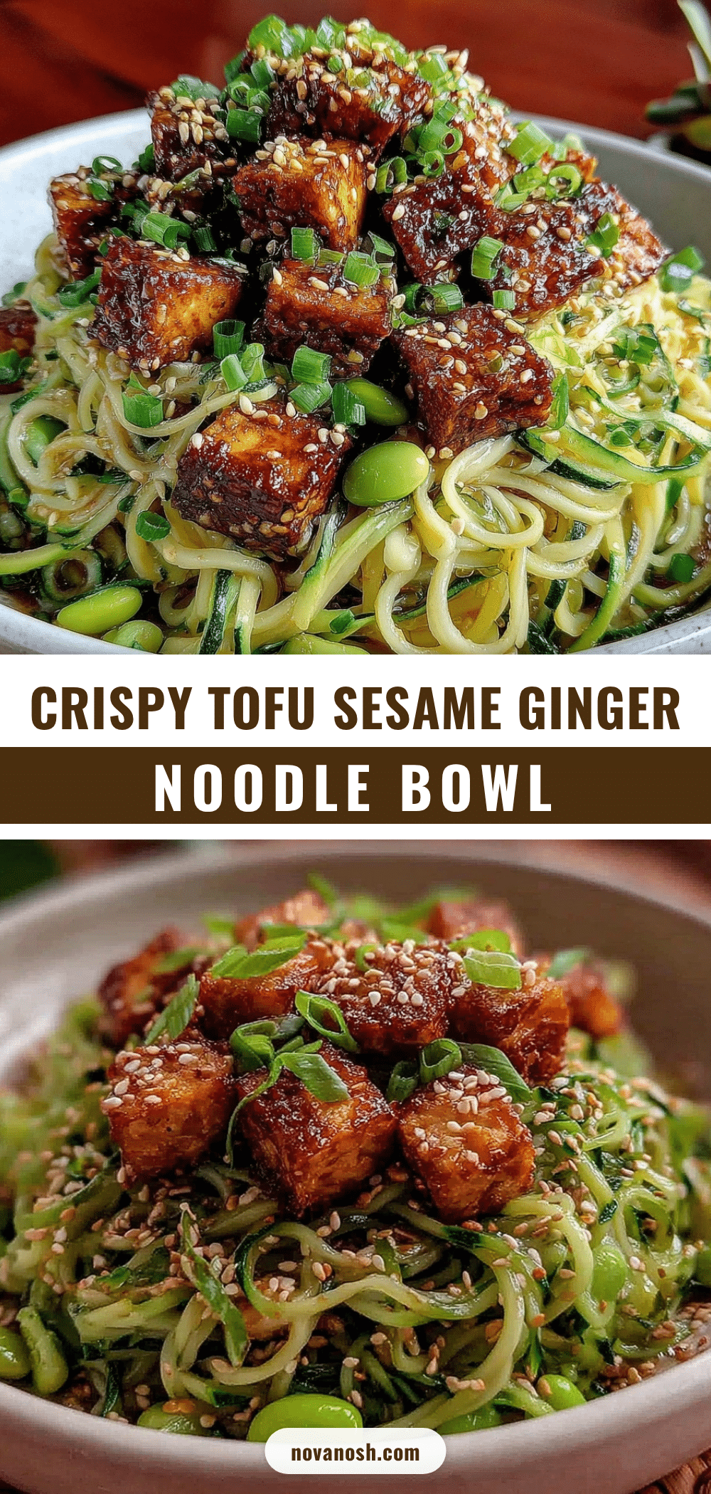 sesame ginger cucumber noodle bowl recipe