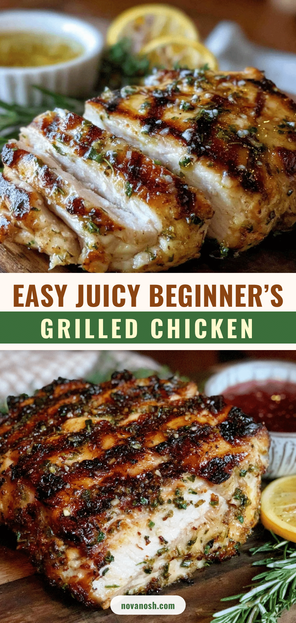 beginner’s grilled chicken recipe recipe