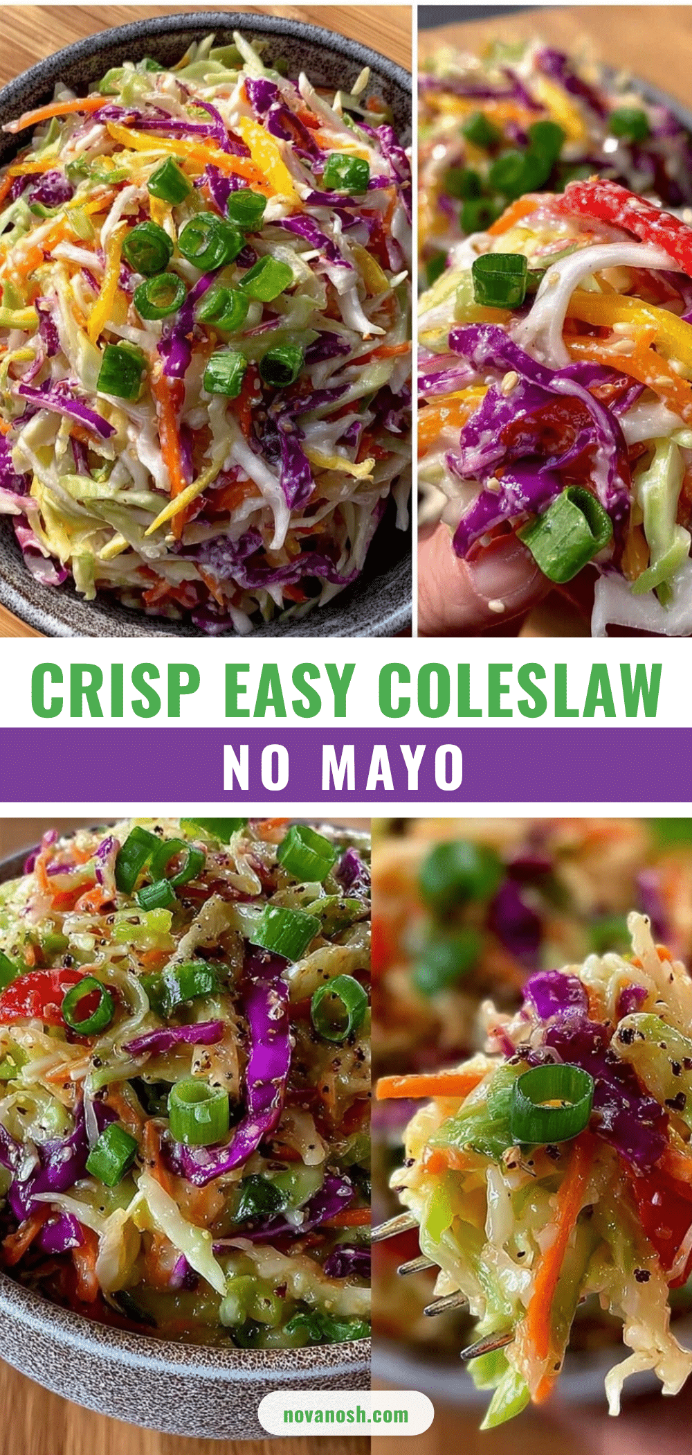 fresh easy coleslaw no mayo recipe recipe