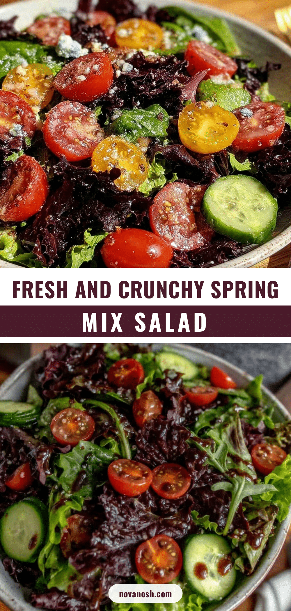 fresh simple spring mix salad recipe