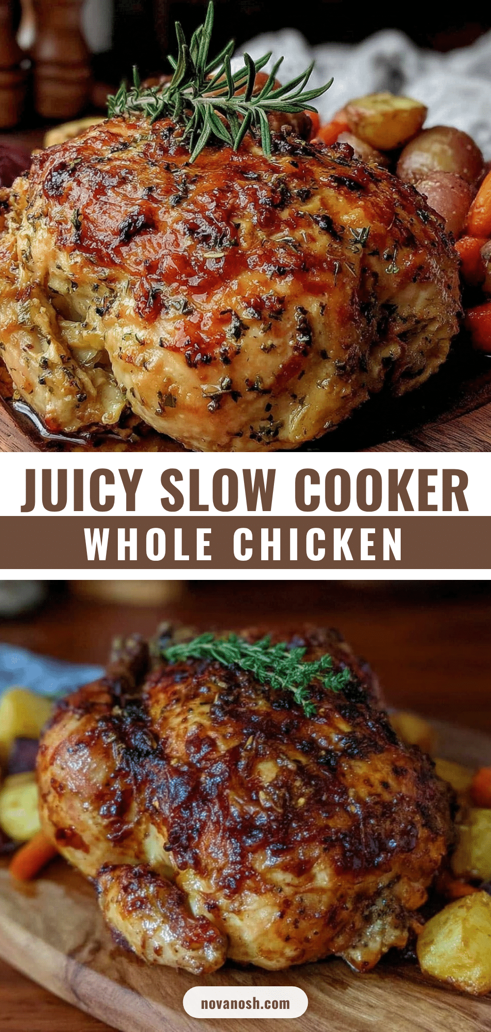 slow cooker whole chicken recipe