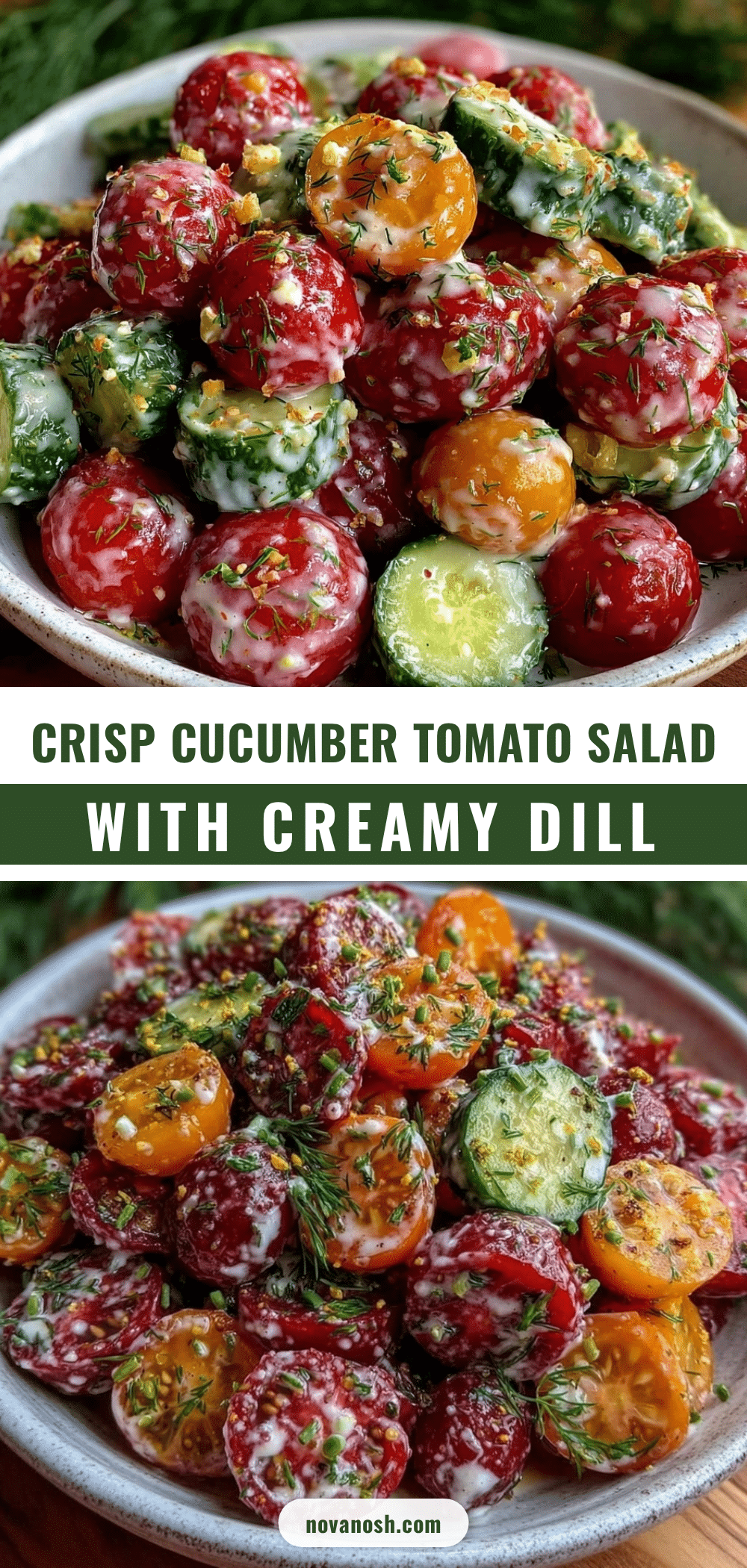 fresh cucumber tomato salad recipe