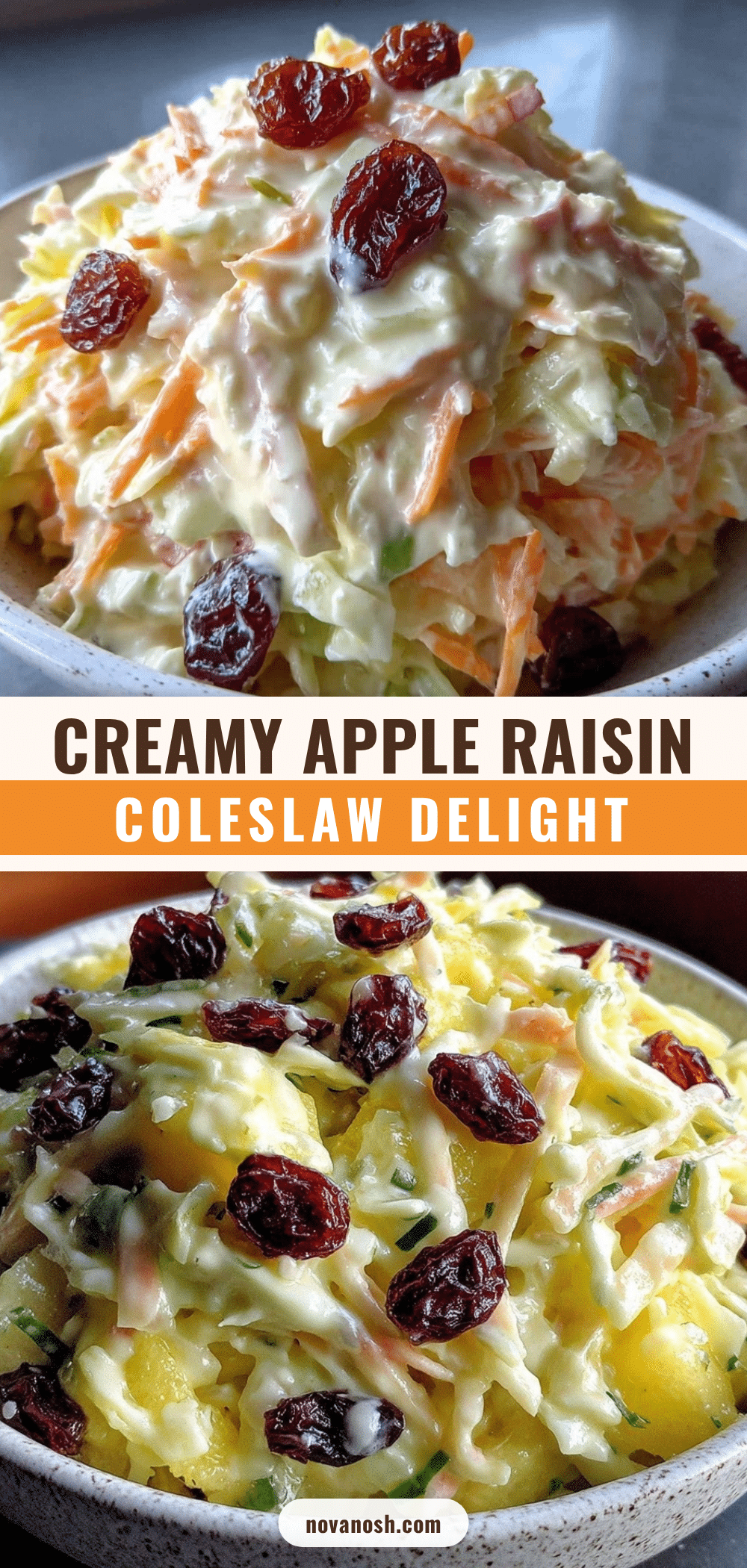 creamy coleslaw with apples and raisins recipe