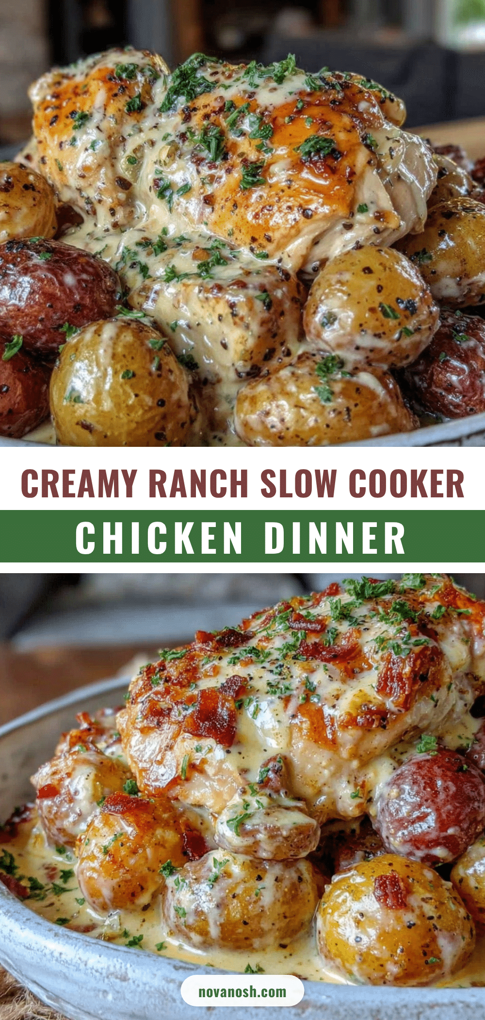 creamy slow cooker ranch chicken with potatoes recipe