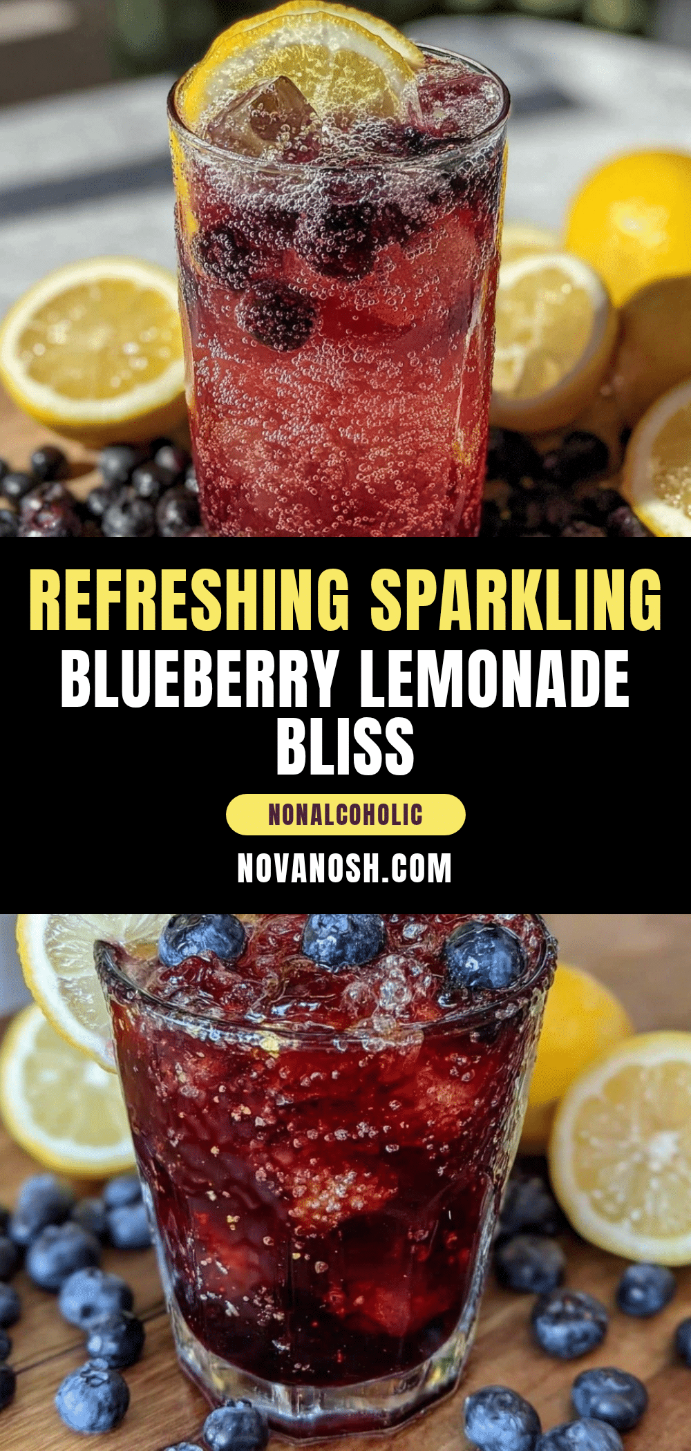 fresh sparkling blueberry lemonade recipe