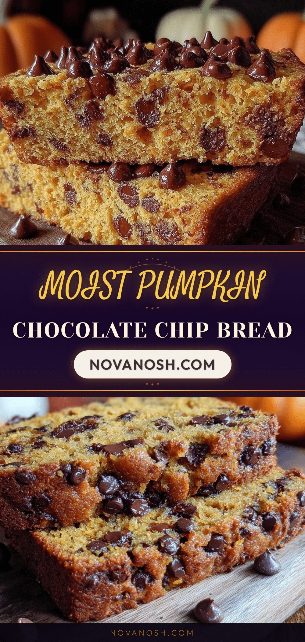 moist pumpkin chocolate chip bread recipe