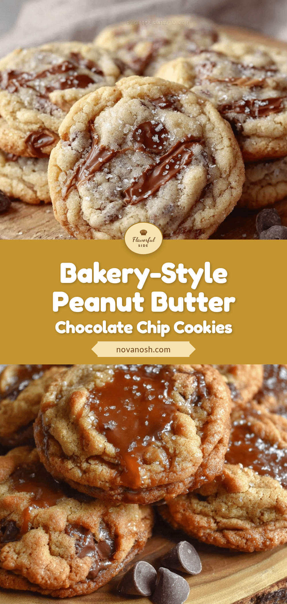 peanut butter chocolate chip cookies recipe