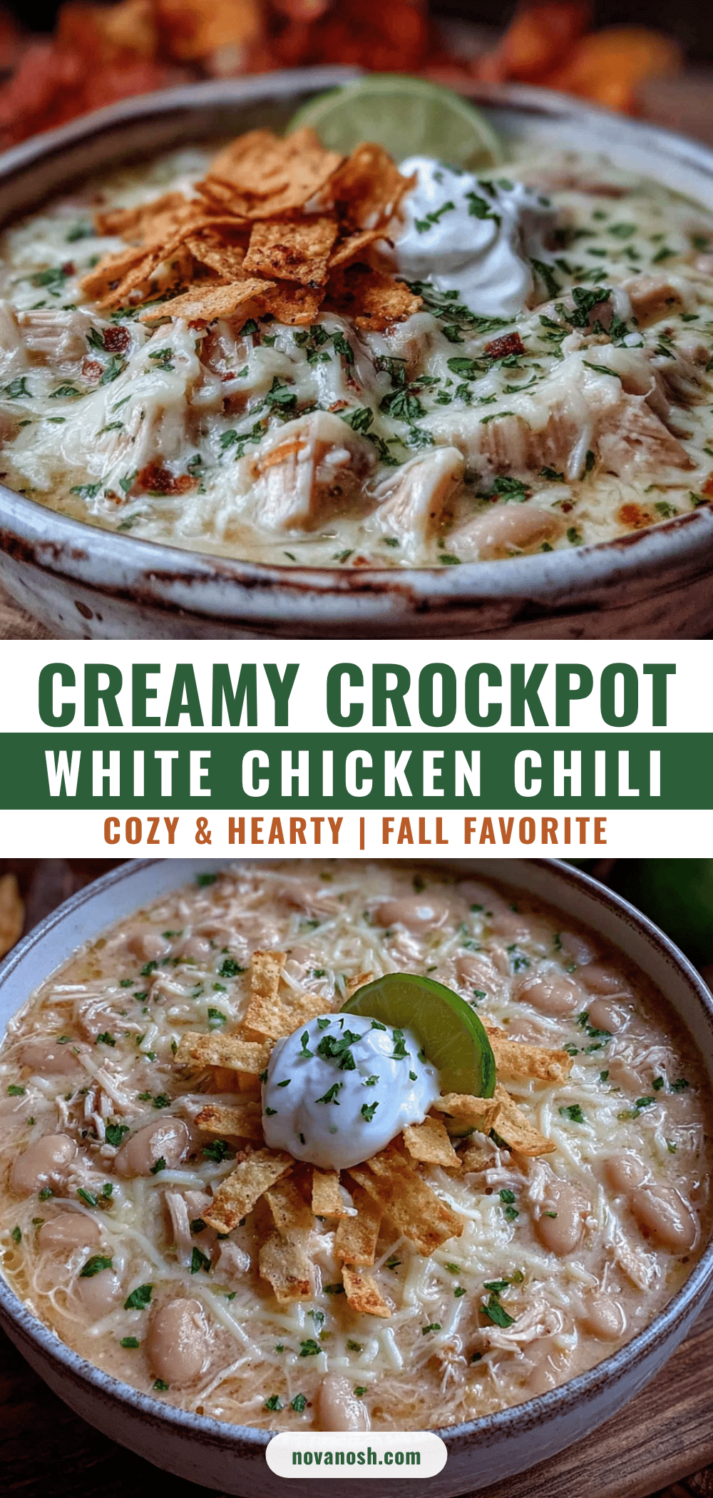 creamy crockpot white chicken chili recipe