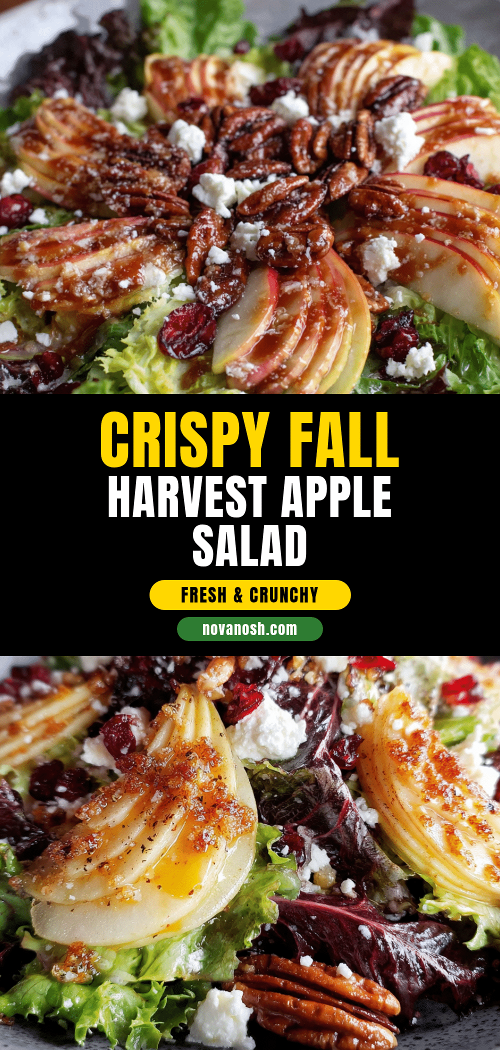 crispy fall harvest salad recipe