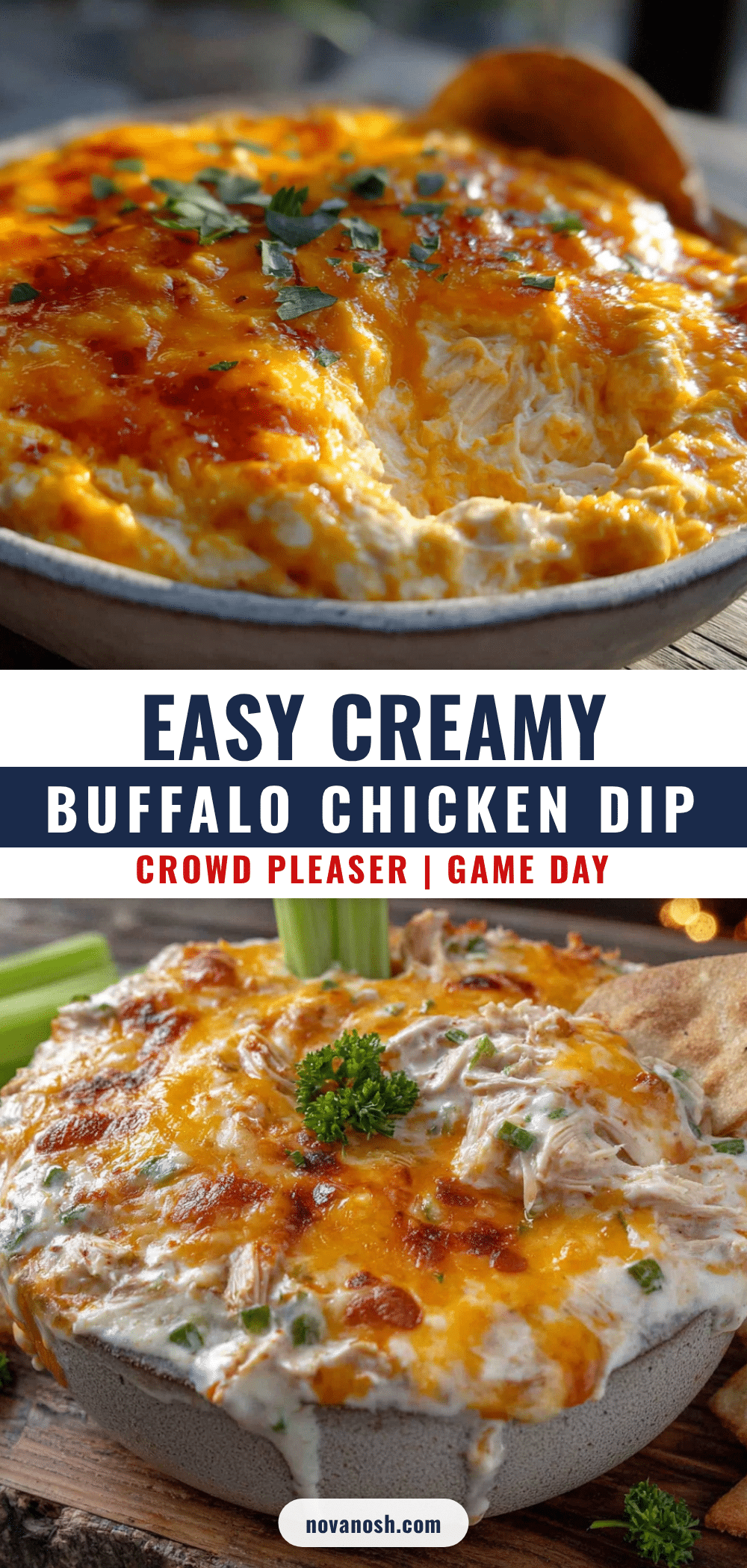 crockpot buffalo chicken dip recipe