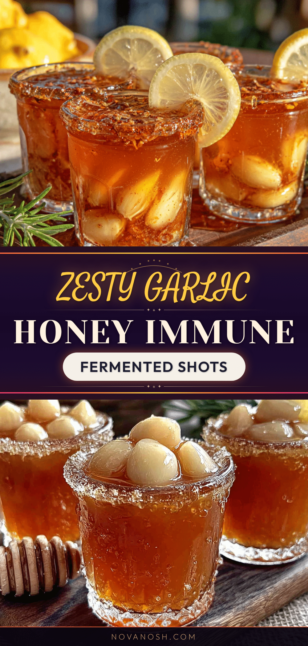 garlic honey fermented immune shots recipe