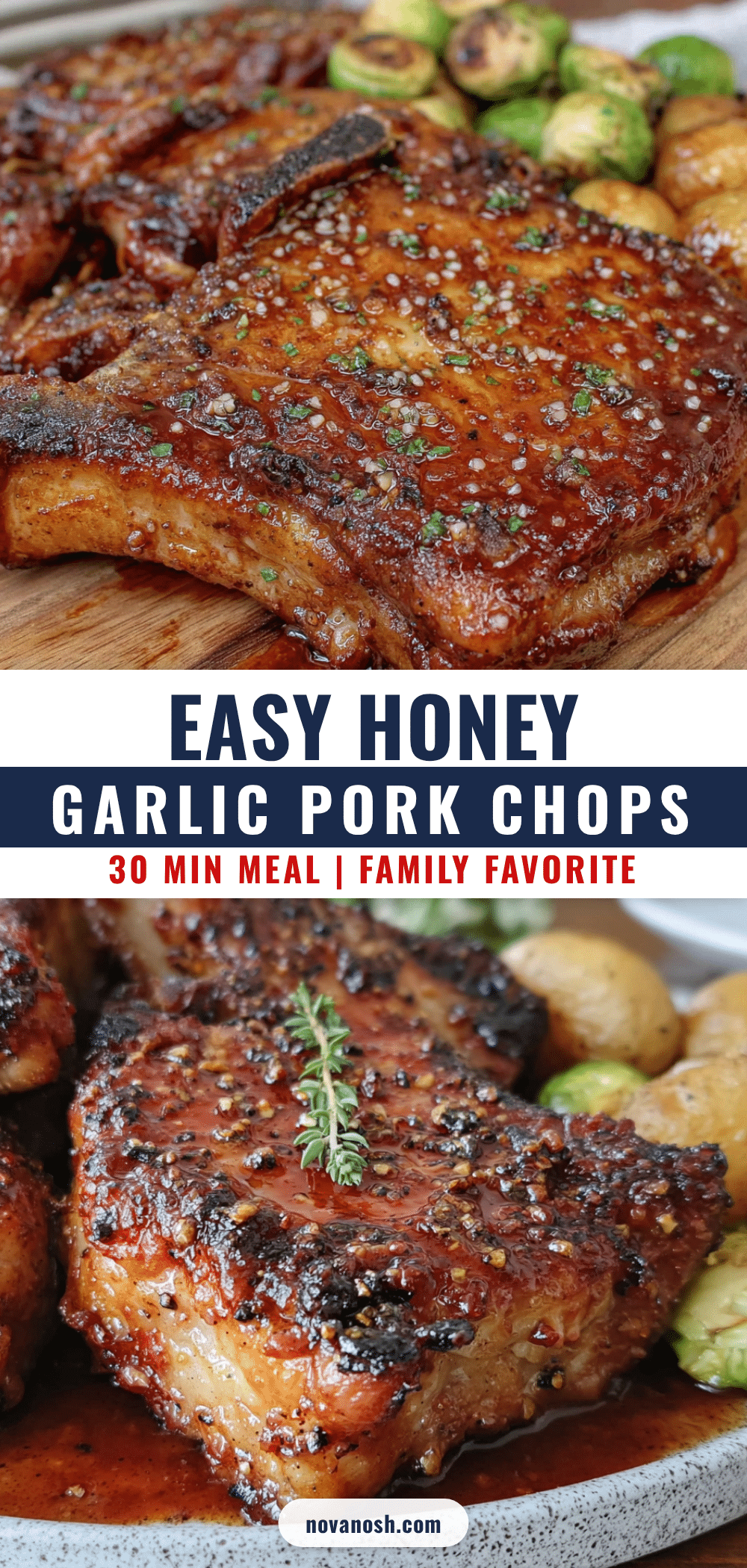 honey garlic pork chops recipe