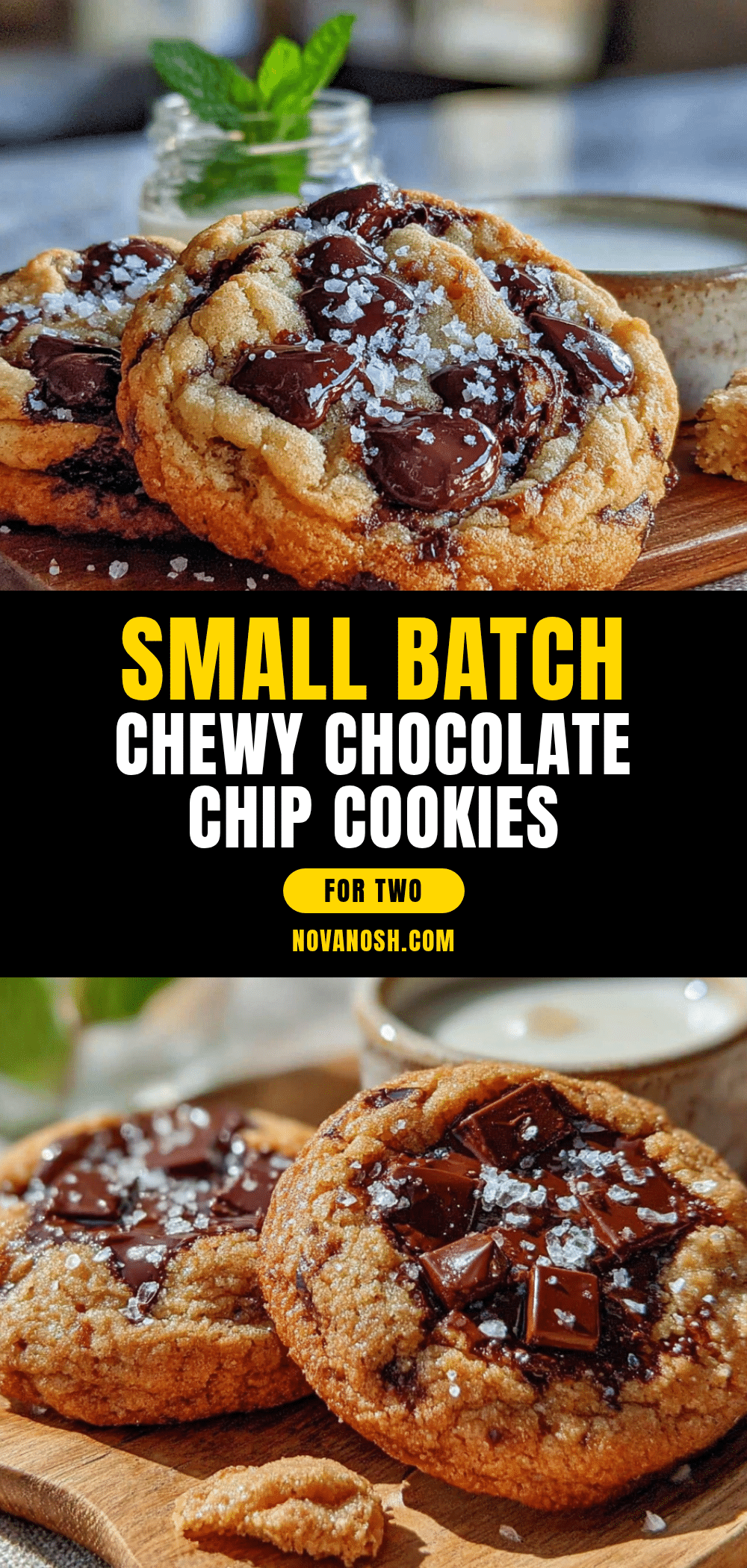 small batch chocolate chip cookies for two recipe