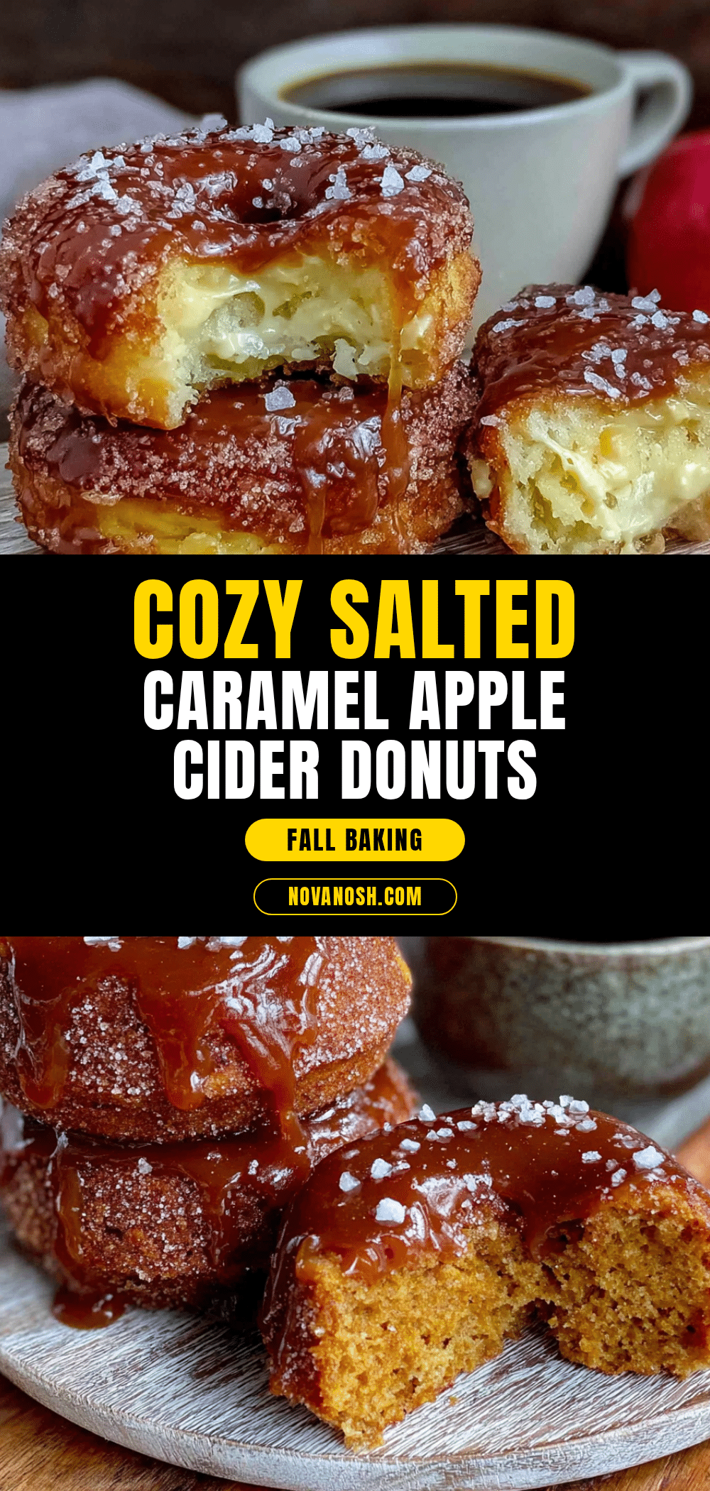 apple cider donuts recipe