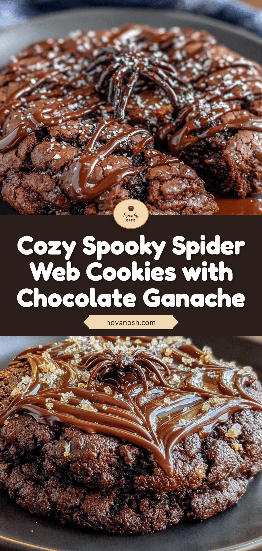 cozy spooky spider web cookies recipe