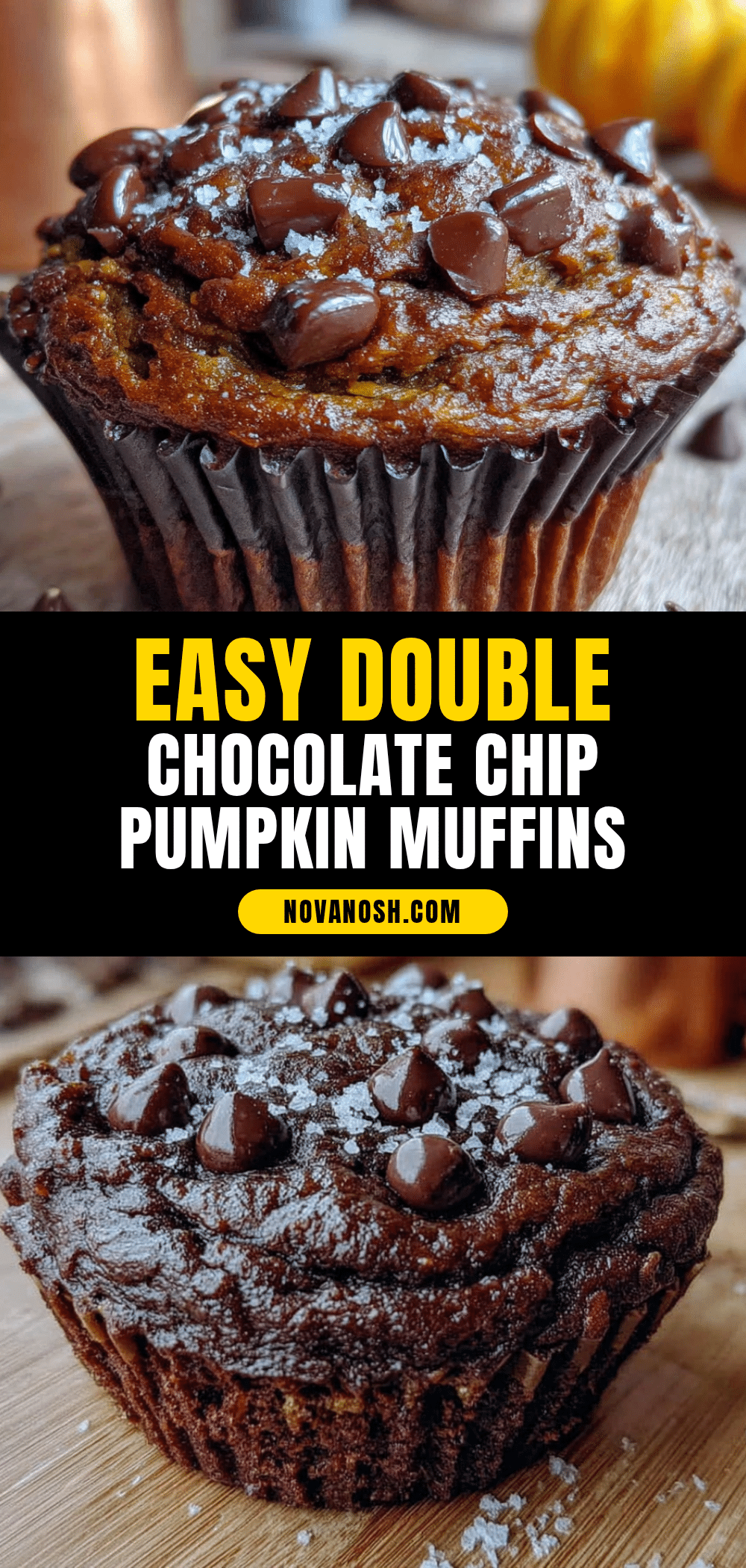 double chocolate chip pumpkin muffins recipe