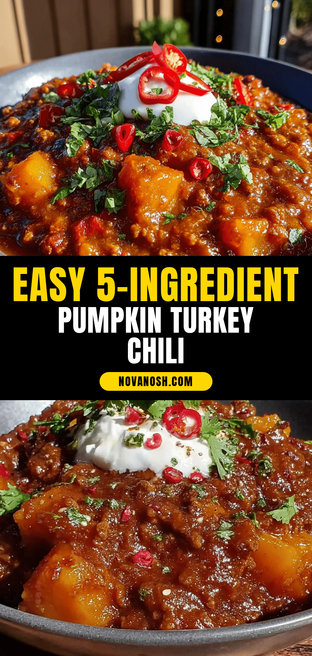 Easy 5-Ingredient Pumpkin Turkey Chili recipe