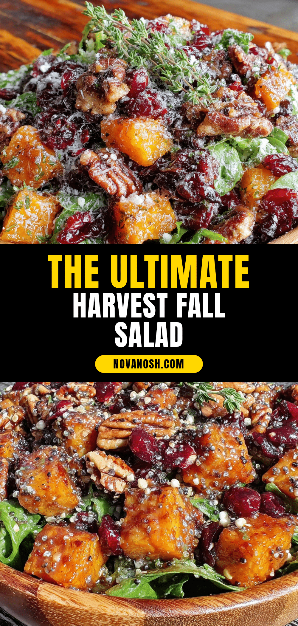harvest fall salad recipe