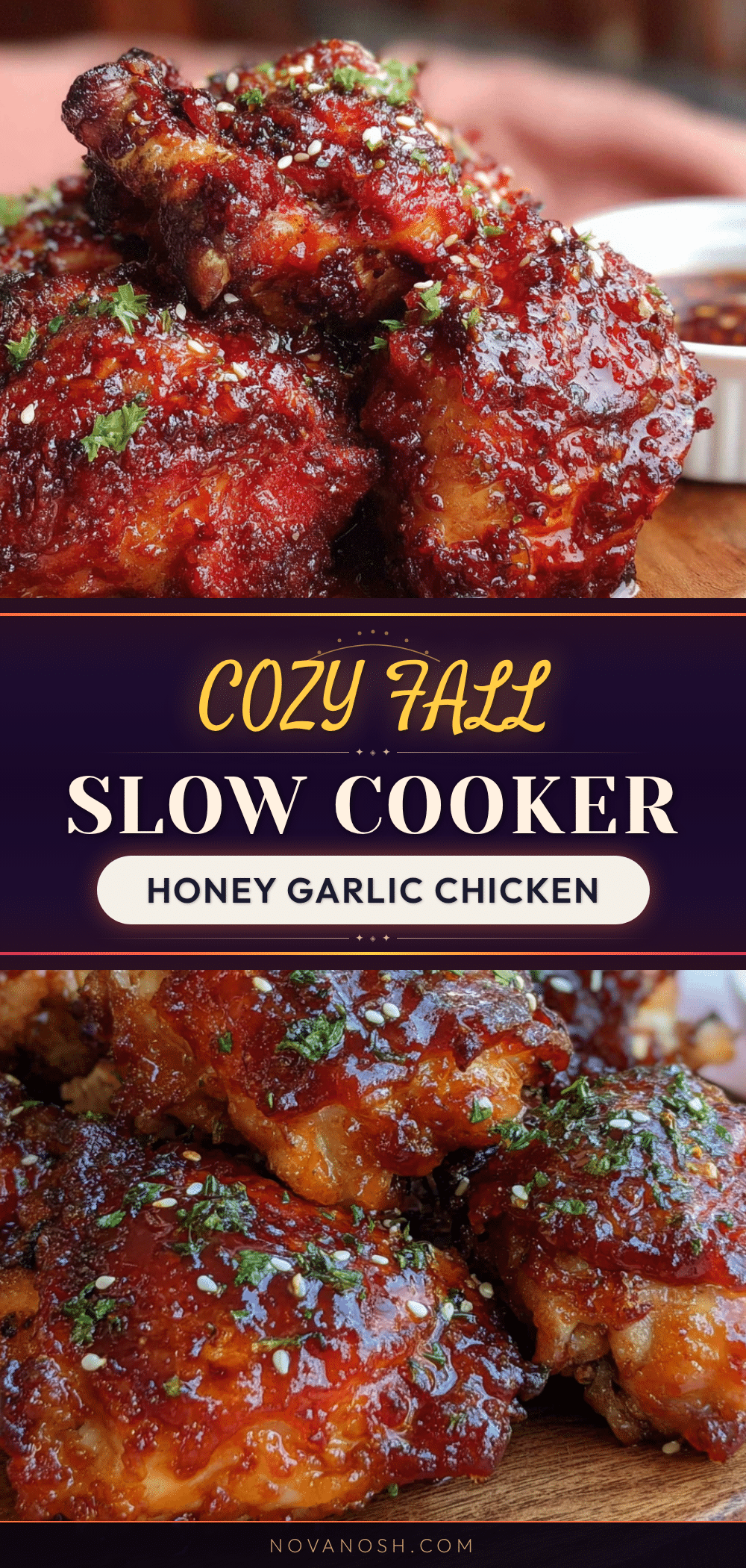 slow cooker honey garlic chicken recipe