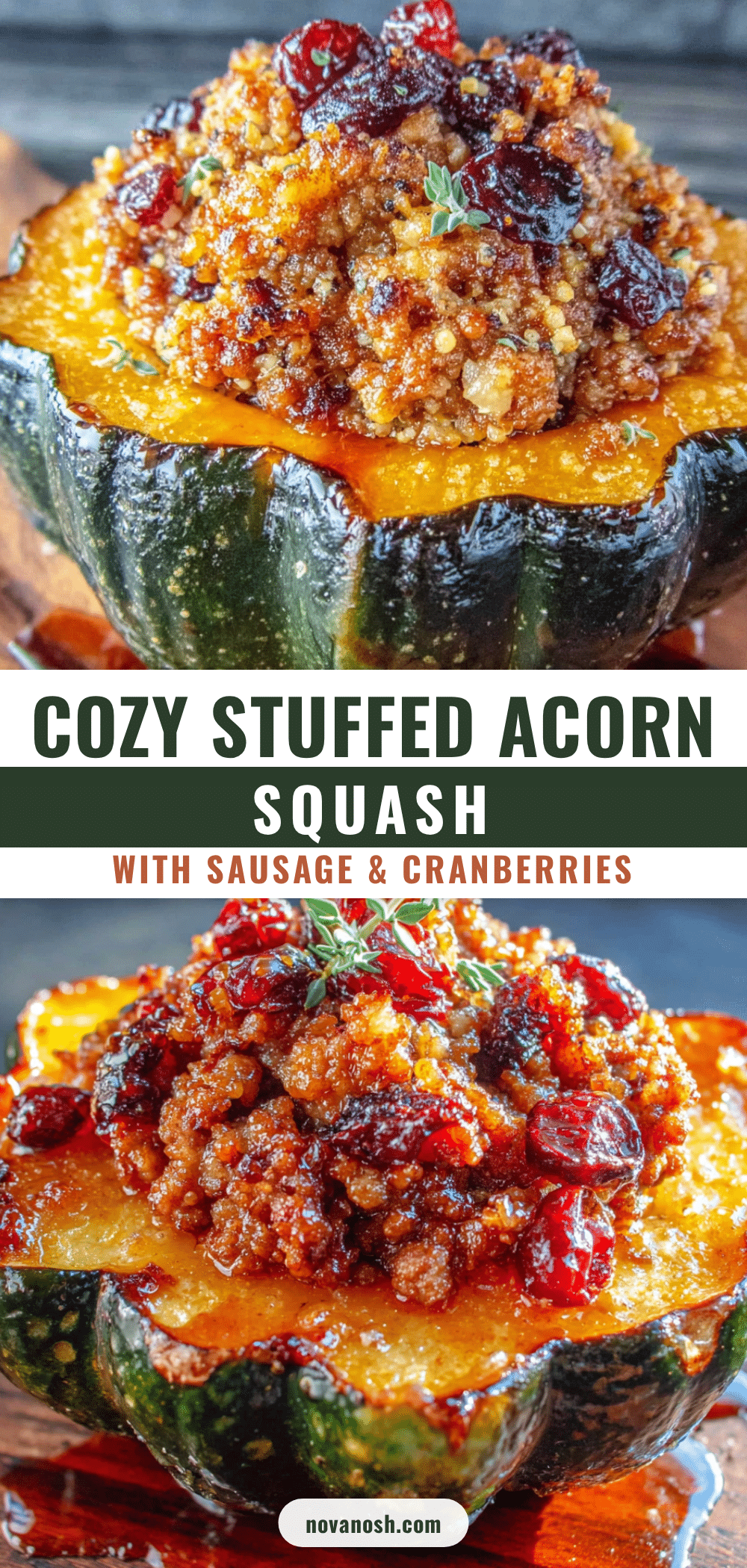 stuffed acorn squash with sausage and cranberries recipe