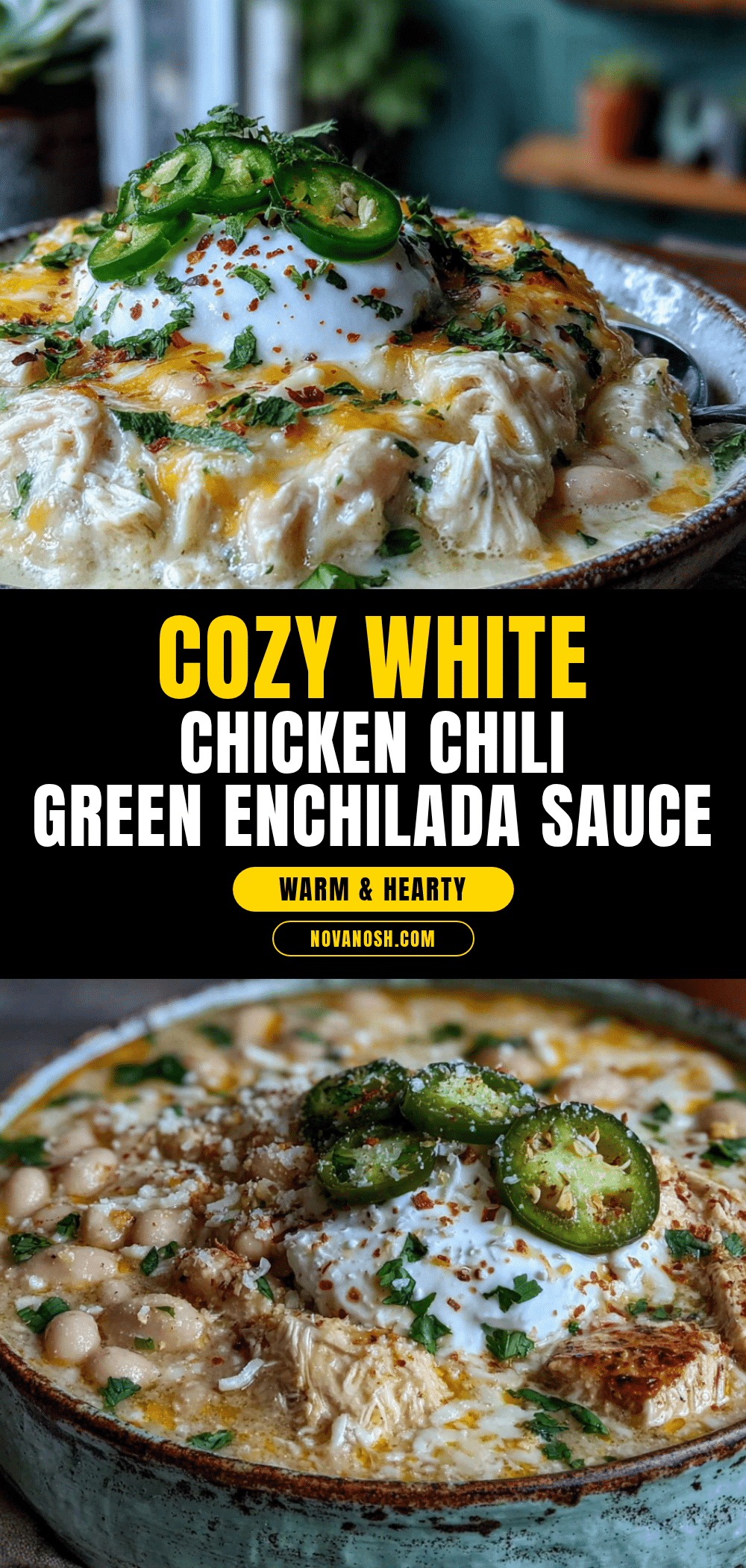 white chicken chili with green enchilada sauce recipe